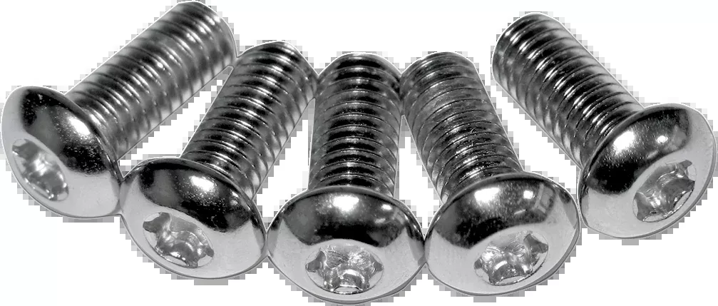 RC Components Mounting Bolt Kit - Rotor - Front - Torx - 991010